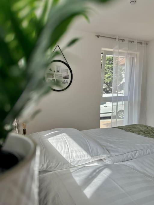 Amao-Pearl I Comfort Suite I 94Qm I Kingsize-Bett I Exklusiv Mit Balkon & Tiefgarage I Aufzug Offenburg Luaran gambar